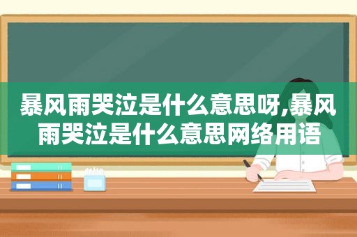 暴风雨哭泣是什么意思呀,暴风雨哭泣是什么意思网络用语