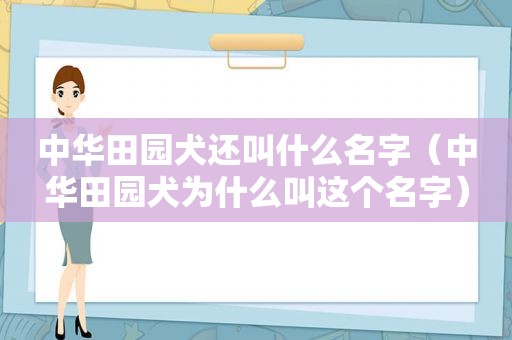 中华田园犬还叫什么名字（中华田园犬为什么叫这个名字）