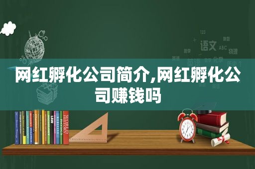 网红孵化公司简介,网红孵化公司赚钱吗