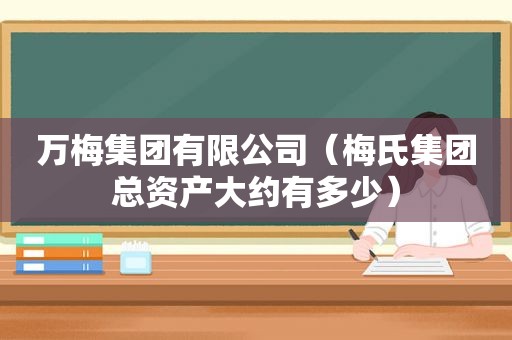 万梅集团有限公司（梅氏集团总资产大约有多少）