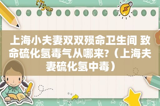 上海小夫妻双双殒命卫生间 致命硫化氢毒气从哪来?（上海夫妻硫化氢中毒）