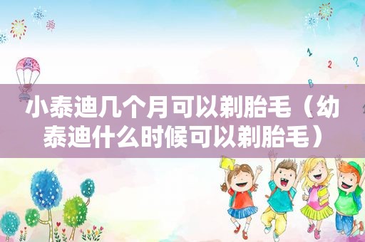 小泰迪几个月可以剃胎毛（幼泰迪什么时候可以剃胎毛）