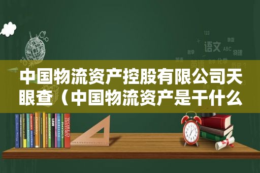 中国物流资产控股有限公司天眼查（中国物流资产是干什么的）