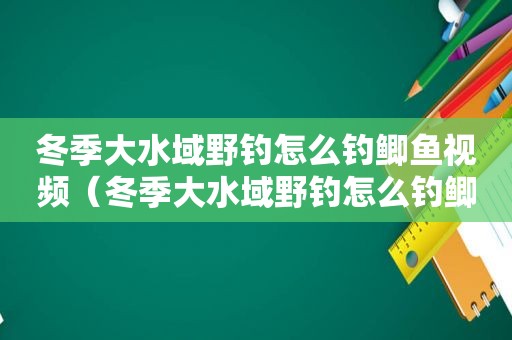 冬季大水域野钓怎么钓鲫鱼视频（冬季大水域野钓怎么钓鲫鱼好）