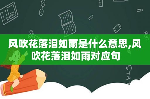 风吹花落泪如雨是什么意思,风吹花落泪如雨对应句