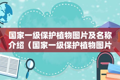 国家一级保护植物图片及名称介绍（国家一级保护植物图片及名称有哪些）