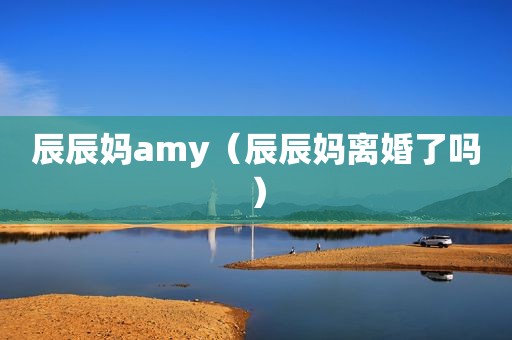 辰辰妈amy（辰辰妈离婚了吗）