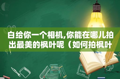 白给你一个相机,你能在哪儿拍出最美的枫叶呢（如何拍枫叶照）