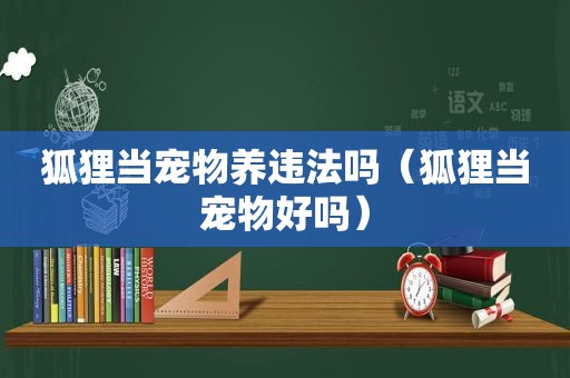 狐狸当宠物养违法吗（狐狸当宠物好吗）