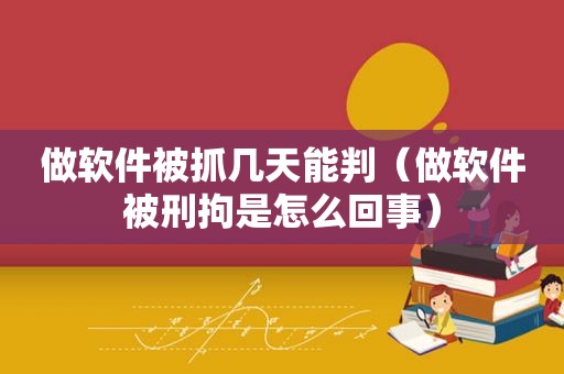 做软件被抓几天能判（做软件被刑拘是怎么回事）