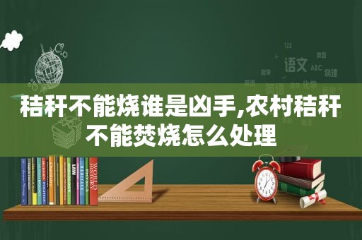 秸秆不能烧谁是凶手,农村秸秆不能焚烧怎么处理