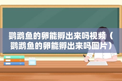 鹦鹉鱼的卵能孵出来吗视频（鹦鹉鱼的卵能孵出来吗图片）