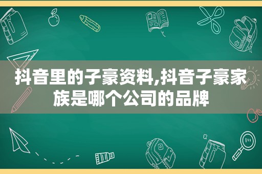 抖音里的子豪资料,抖音子豪家族是哪个公司的品牌