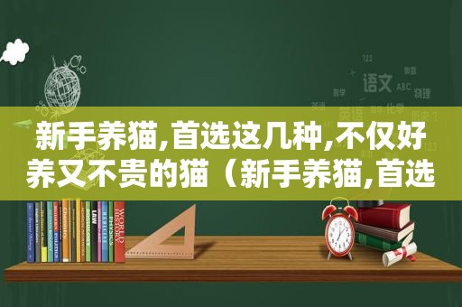 新手养猫,首选这几种,不仅好养又不贵的猫（新手养猫,首选这几种,不仅好养又不贵）