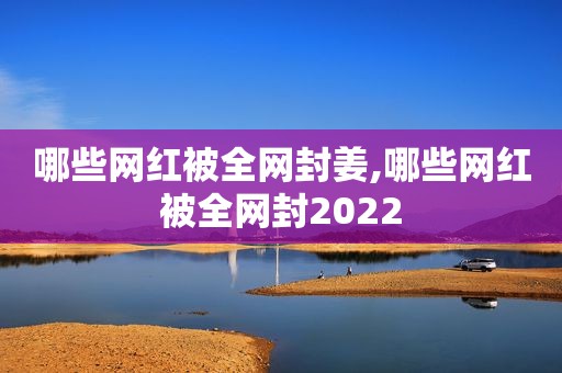 哪些网红被全网封姜,哪些网红被全网封2022