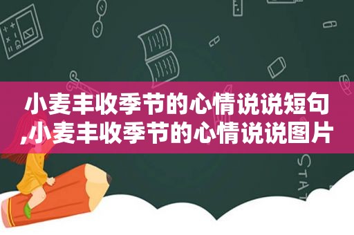 小麦丰收季节的心情说说短句,小麦丰收季节的心情说说图片