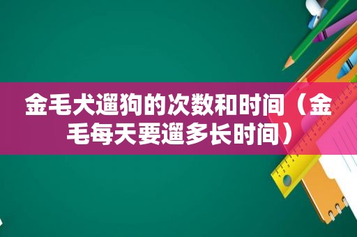 金毛犬遛狗的次数和时间（金毛每天要遛多长时间）