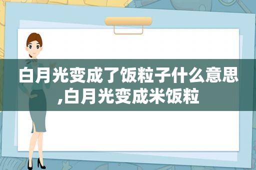 白月光变成了饭粒子什么意思,白月光变成米饭粒