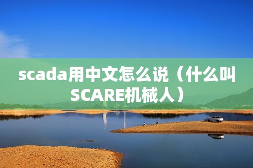 scada用中文怎么说（什么叫SCARE机械人）