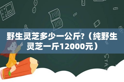 野生灵芝多少一公斤?（纯野生灵芝一斤12000元）