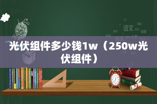 光伏组件多少钱1w（250w光伏组件）