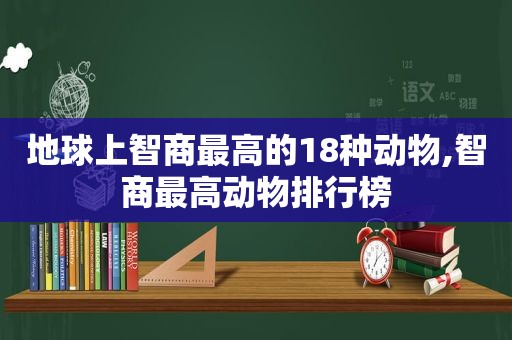 地球上智商最高的18种动物,智商最高动物排行榜