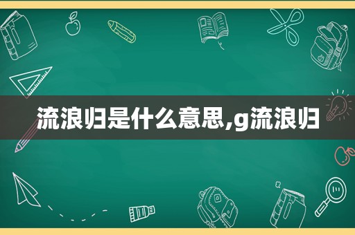 流浪归是什么意思,g流浪归