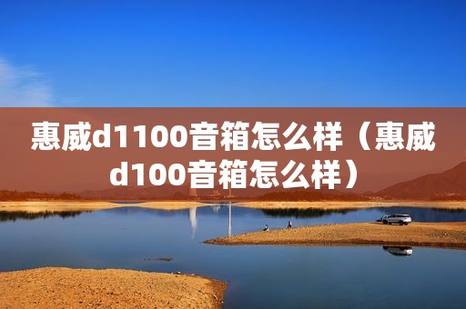 惠威d1100音箱怎么样（惠威d100音箱怎么样）