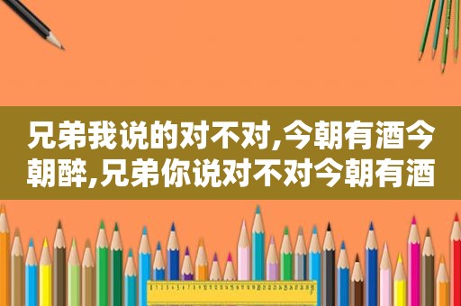 兄弟我说的对不对,今朝有酒今朝醉,兄弟你说对不对今朝有酒今朝醉歌曲