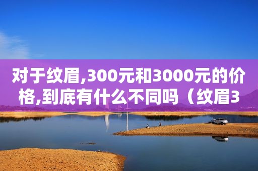 对于纹眉,300元和3000元的价格,到底有什么不同吗（纹眉300元和1000元有多大区别）