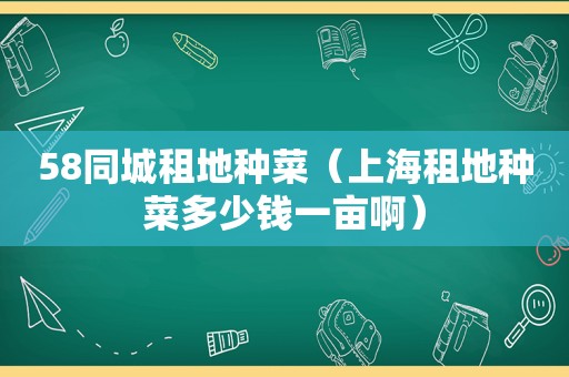 58同城租地种菜（上海租地种菜多少钱一亩啊）