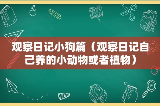 观察日记小狗篇（观察日记自己养的小动物或者植物）