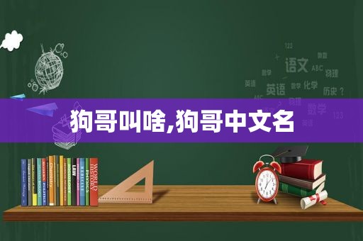 狗哥叫啥,狗哥中文名