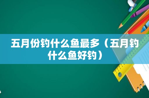 五月份钓什么鱼最多（五月钓什么鱼好钓）