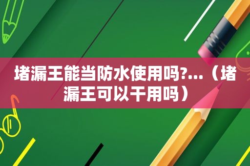 堵漏王能当防水使用吗?...（堵漏王可以干用吗）