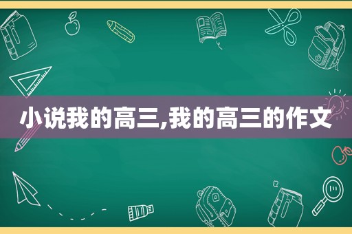 小说我的高三,我的高三的作文