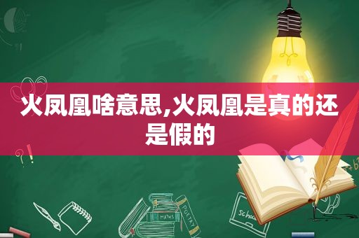 火凤凰啥意思,火凤凰是真的还是假的