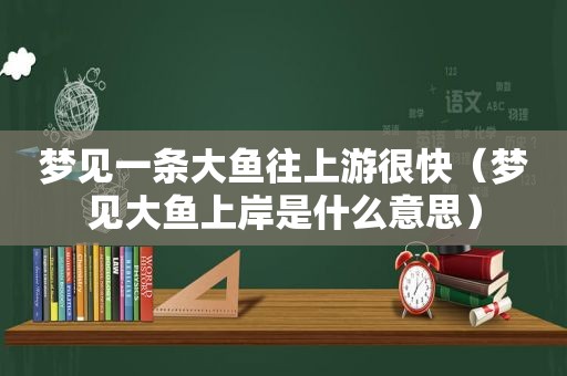 梦见一条大鱼往上游很快（梦见大鱼上岸是什么意思）