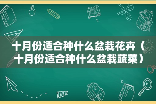 十月份适合种什么盆栽花卉（十月份适合种什么盆栽蔬菜）