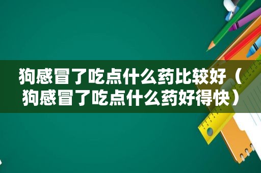 狗感冒了吃点什么药比较好（狗感冒了吃点什么药好得快）