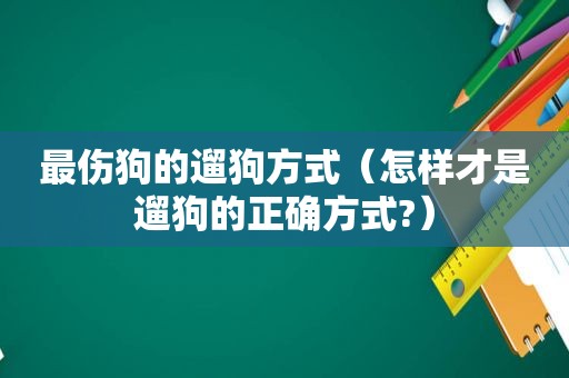 最伤狗的遛狗方式（怎样才是遛狗的正确方式?）