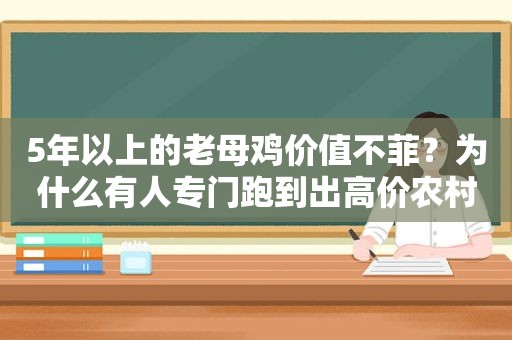 5年以上的老母鸡价值不菲？为什么有人专门跑到出高价农村购买？