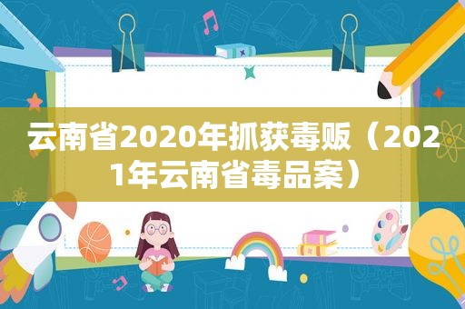 云南省2020年抓获毒贩（2021年云南省 *** 案）