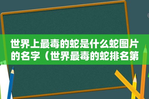 世界上最毒的蛇是什么蛇图片的名字（世界最毒的蛇排名第一图片）