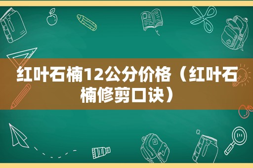 红叶石楠12公分价格（红叶石楠修剪口诀）