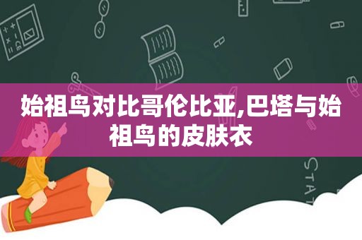 始祖鸟对比哥伦比亚,巴塔与始祖鸟的皮肤衣