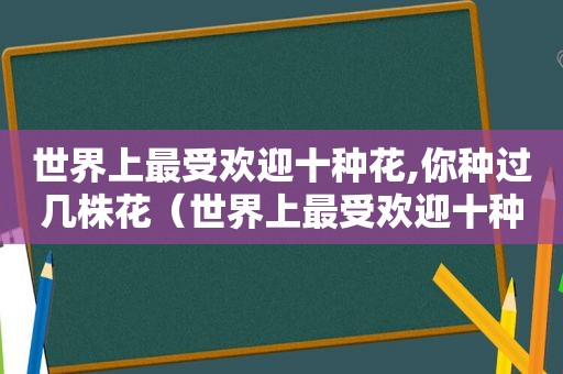 世界上最受欢迎十种花,你种过几株花（世界上最受欢迎十种花,你种过几株）