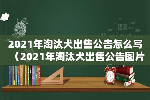 2021年淘汰犬出售公告怎么写（2021年淘汰犬出售公告图片）