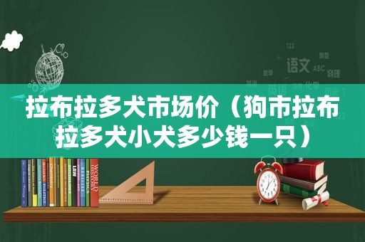 拉布拉多犬市场价（狗市拉布拉多犬小犬多少钱一只）