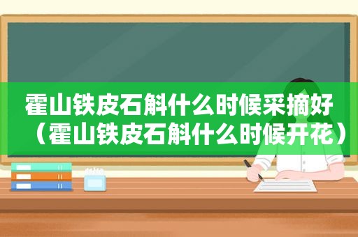 霍山铁皮石斛什么时候采摘好（霍山铁皮石斛什么时候开花）